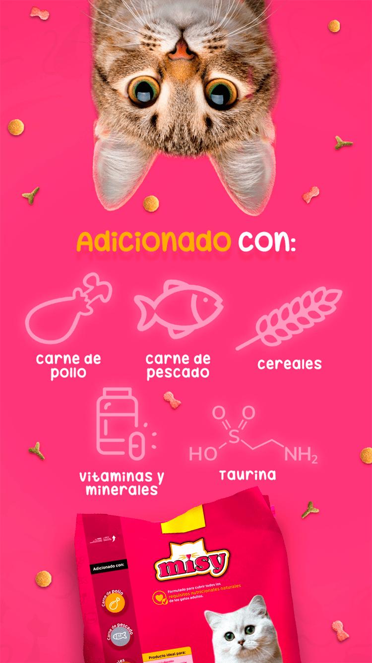 38 - MISY PRODUCTO.png